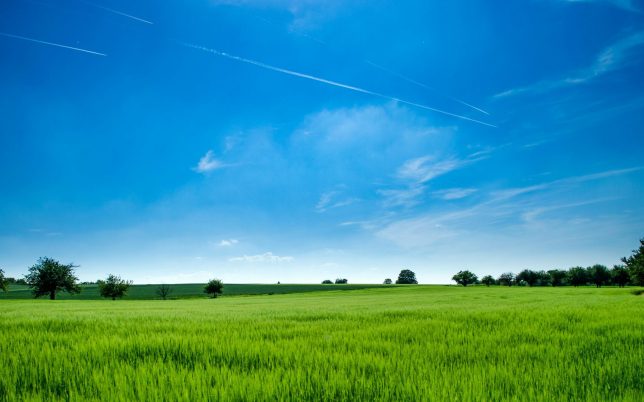 Tranquil rural landscape with lush green field and bright blue sky.